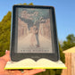 Kindle Stand 3D Printed Bookshelf Sign