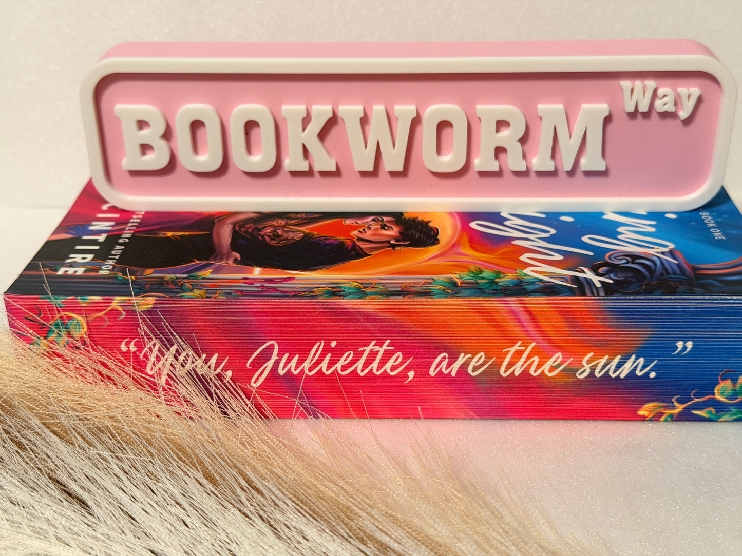 Bookworm Way Blvd 3D Printed Bookshelf Sign